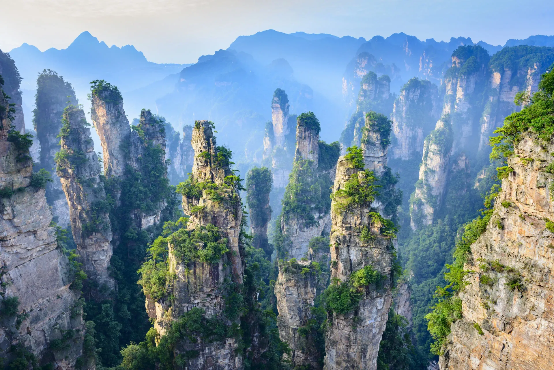 Tall sandstone pillars rising above wooded valleys at Zhangjiajie.